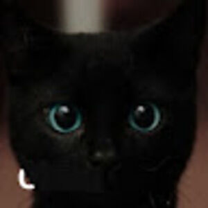 Meet your Posher, Fjfh